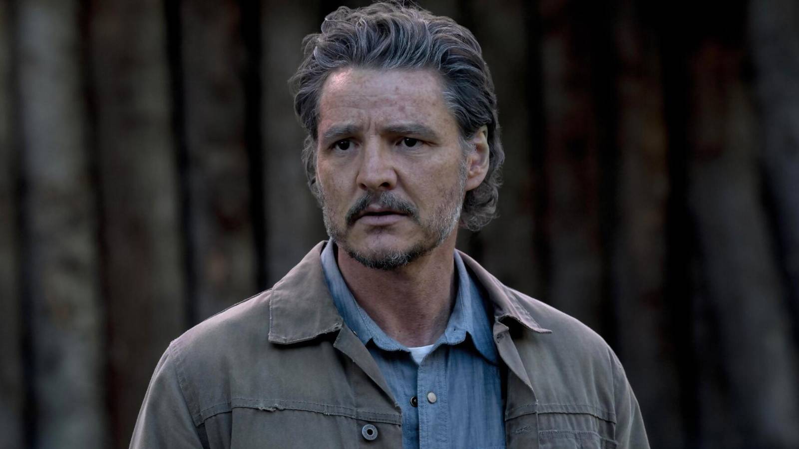 The Last Of Us Hero May Finally Get The Story They Deserve