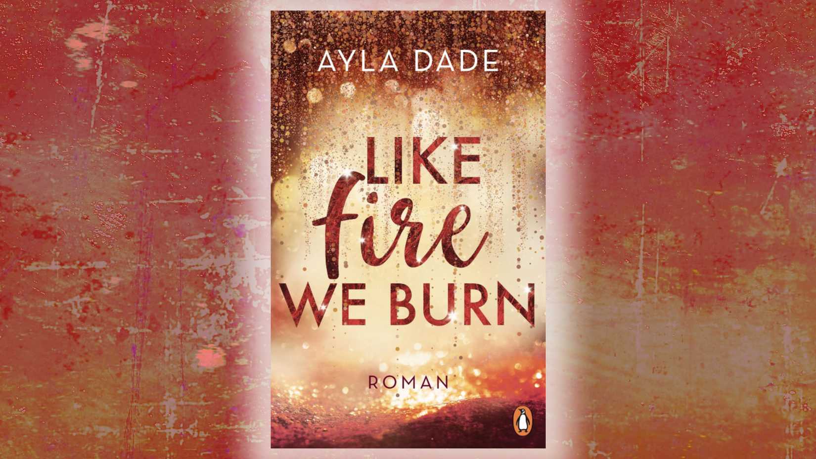 Like Fire We Burn book cover