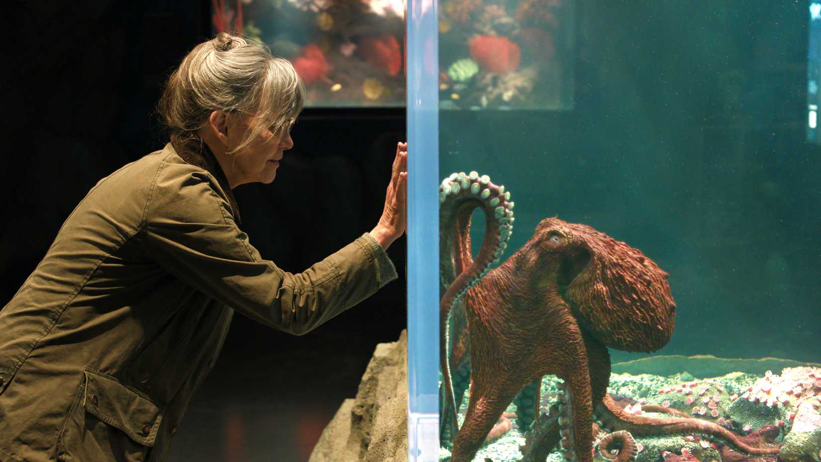 Marcellus and Tova touch hands through the aquarium glass in Remarkably Bright Creatures