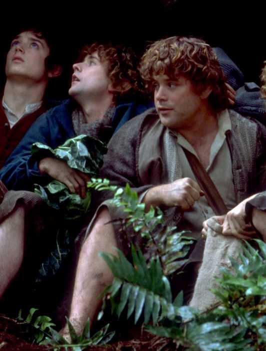 How To Read J.R.R. Tolkien's Lord Of The Rings Books In Order ...