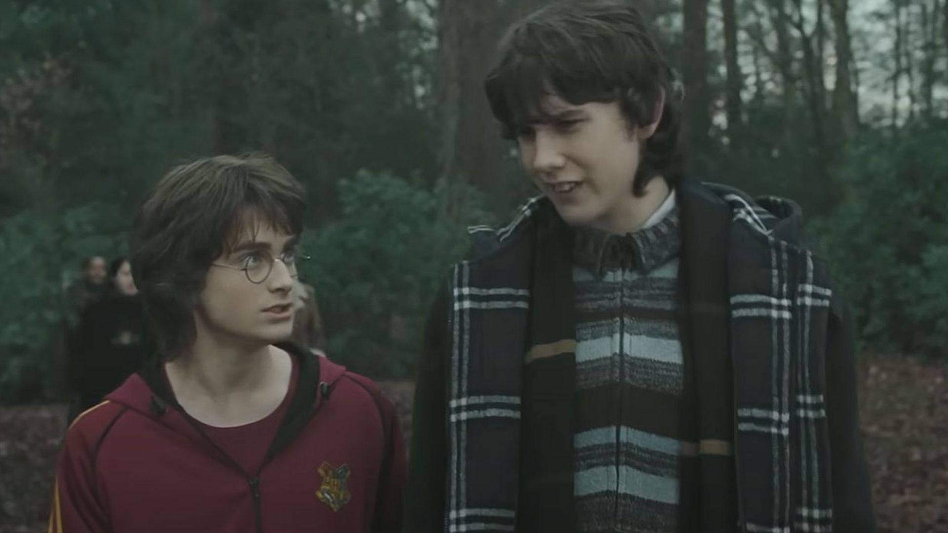 Harry Potter, 10 dettagli che si notano davvero solo riguardando tutta la saga