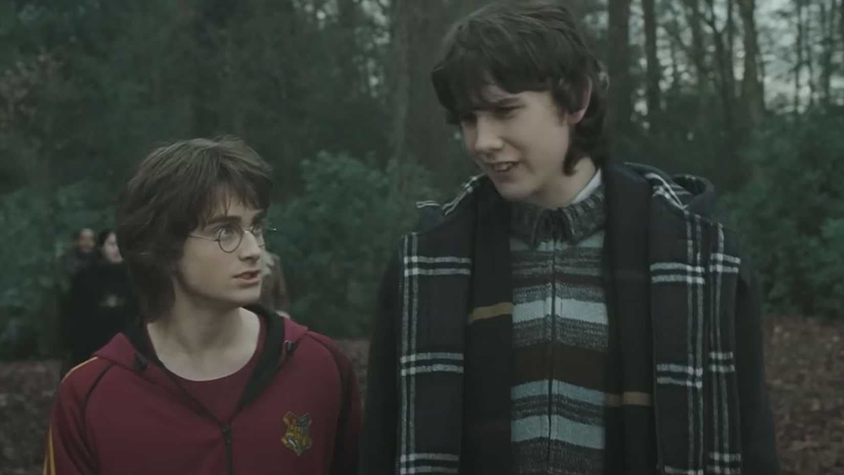 10 Ways Rewatching All 8 Harry Potter Movies In Order Changes How You Look At The Films 2 Neville Longbottom telling Harry Potter about Gillyweed in The Goblet of Fire