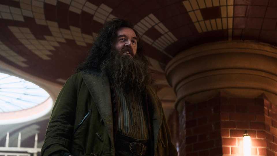 Nick Frost smiling as Hagrid in Harry Potter and the Philosopher's Stone