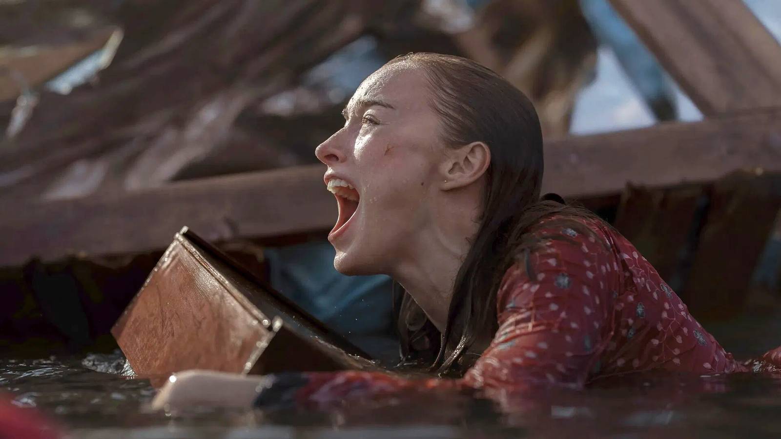 Sharks Attack A Small Town After Meat Truck Accident In Netflix's New Thrash Trailer