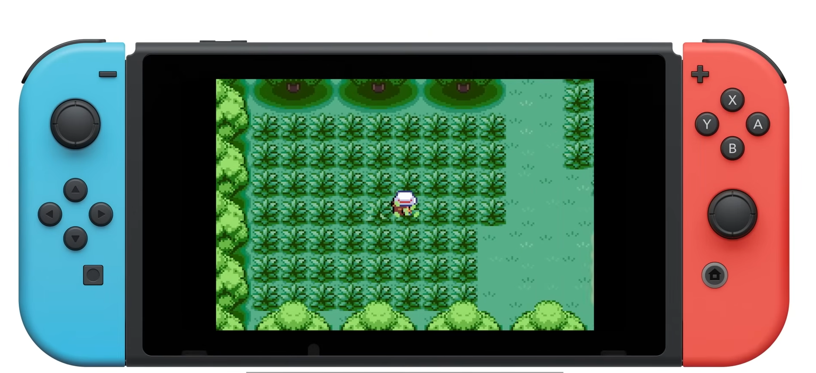 Pokémon FireRed Version and Pokémon LeafGreen Wild Area-2