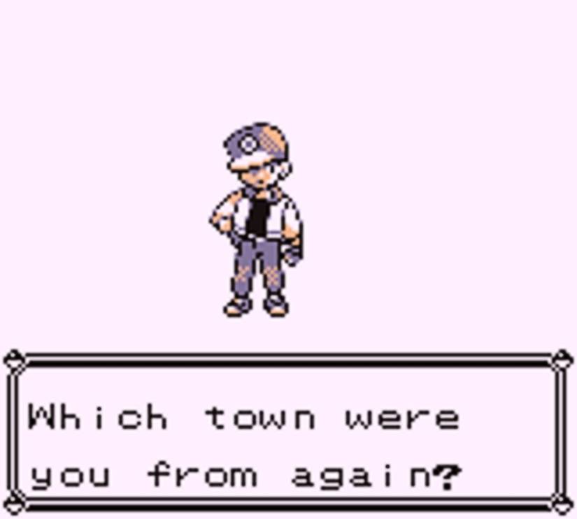 pokemon rom hack player being asked what town they're from