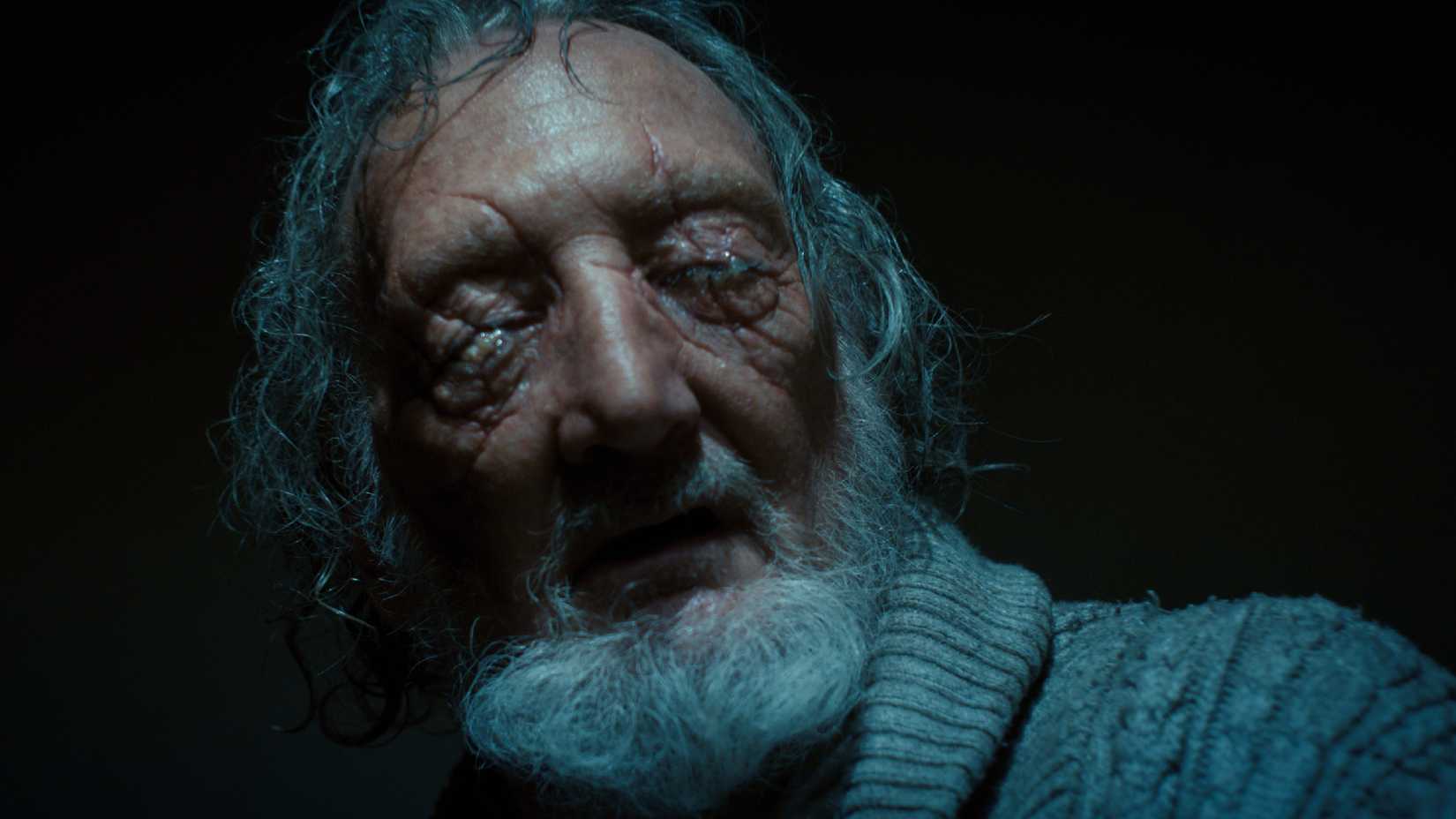 Robert Englund in Stranger Things