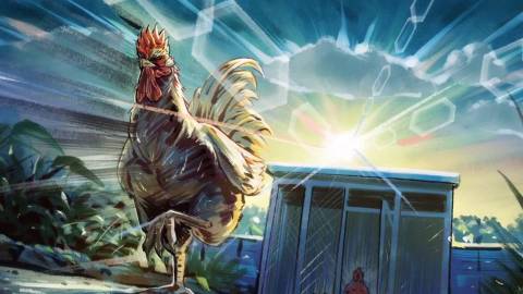 Rooster Fighter Summary, Trailer, Season List, Cast, Where to Watch and ...