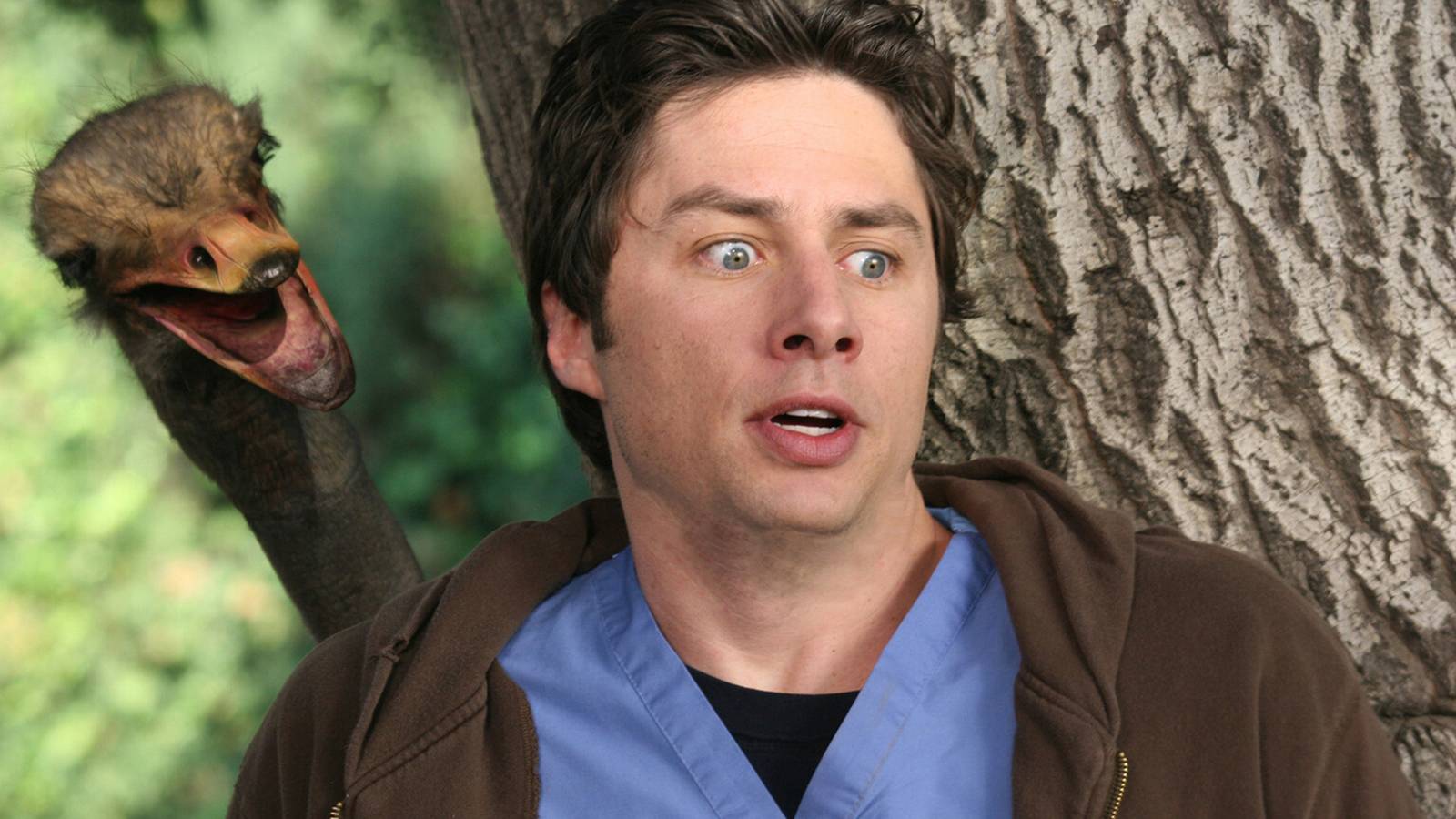 Die Neuauflage von „Scrubs“ kehrt offiziell früher als erwartet mit ...