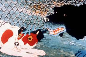 Rowf The Plague Dogs Summary, Trailer, Cast, Where to Watch and More