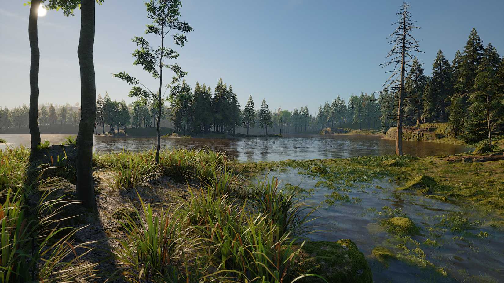 Image shows a swamp environment from Paleolith