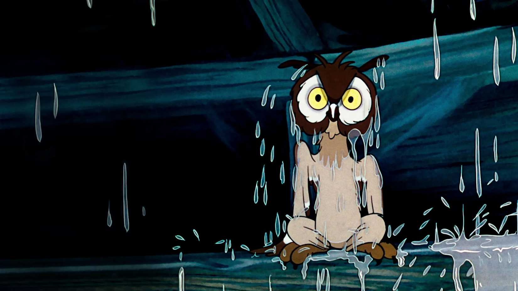 Coruja em cena do curta The Old Mill