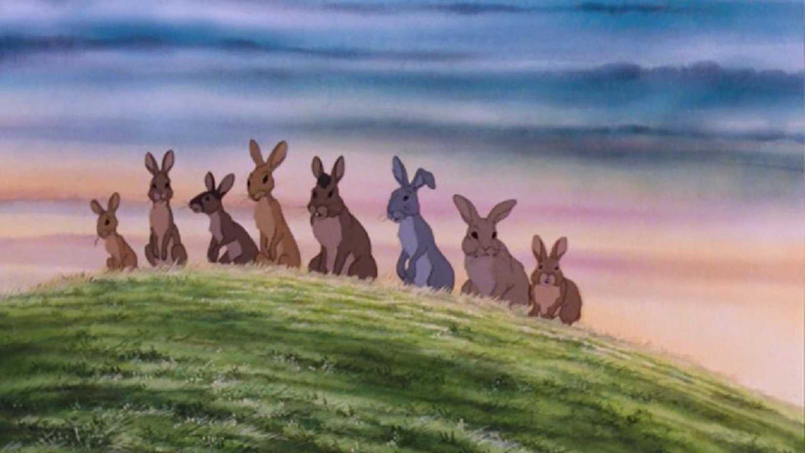 10 Movies That Traumatized Gen X Kids 5 The rabbits in Watership Down