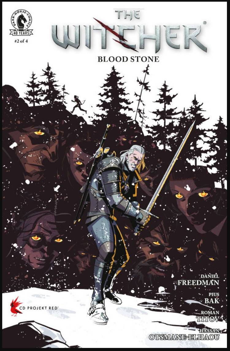 The witcher blood stone 2 cover