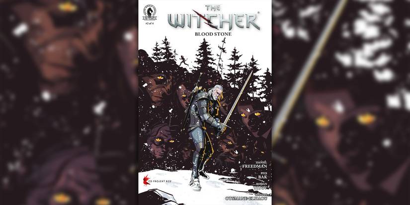 The Witcher Blood Stone issue 2 cover