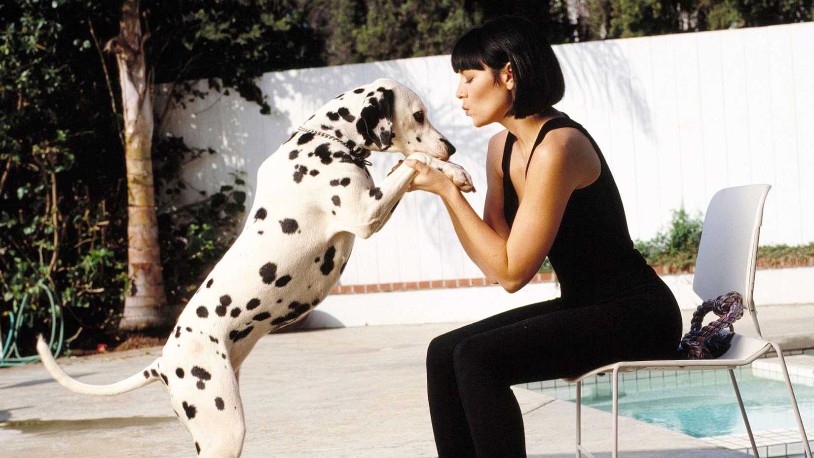 Paige playing with a dalmatian in Wild Palms
