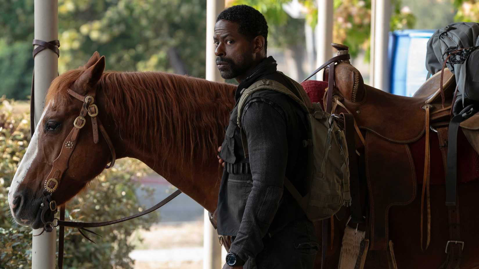 xavier sterling k brown standing next to a horse while looking at someone in paradise
