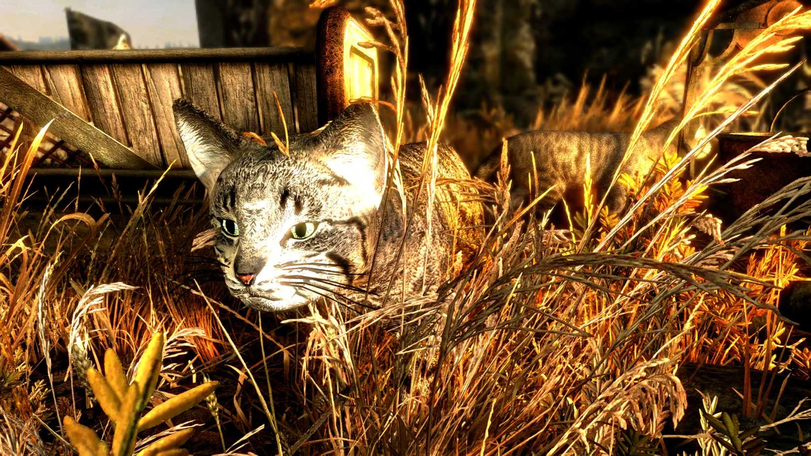 Image taken from Through Fire and War Skyrim mod