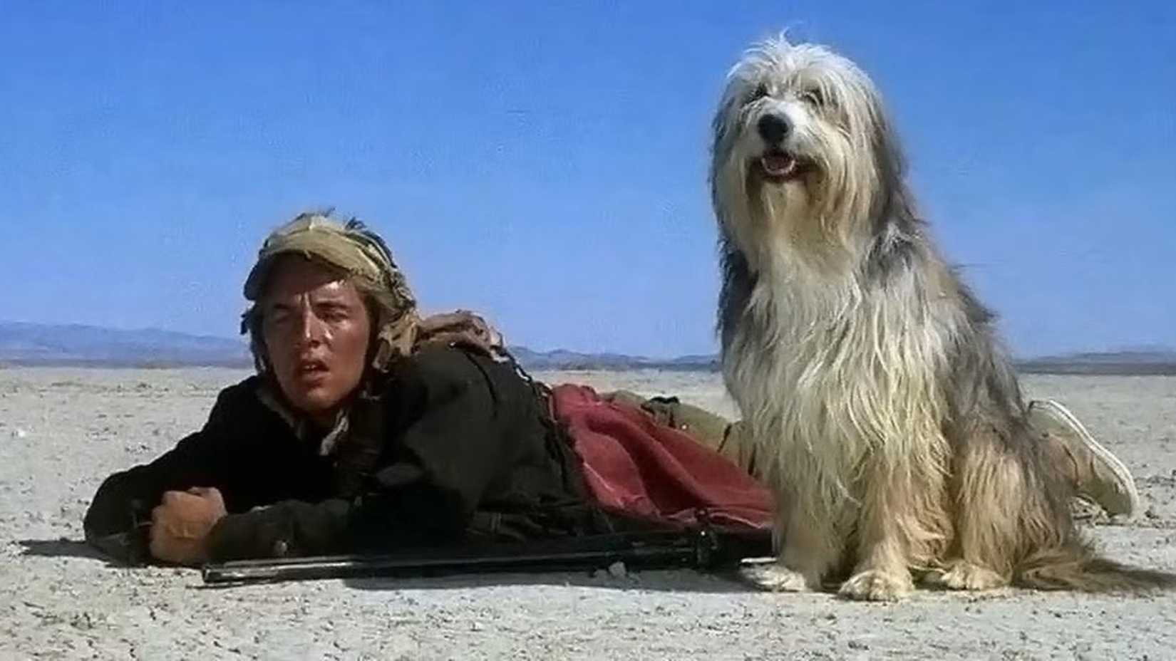 A Boy and his dog Don Johnson (1)