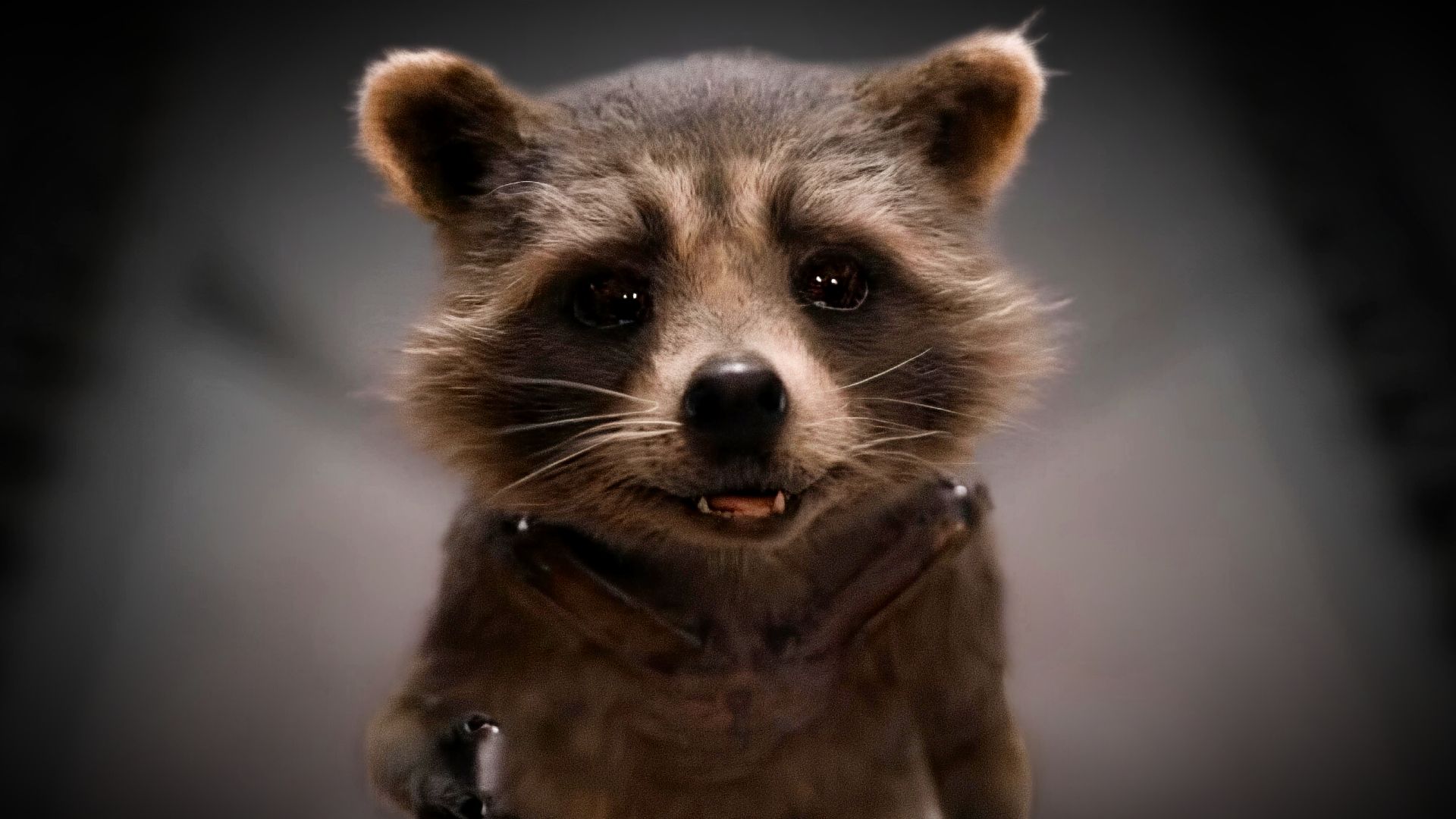 Baby Rocket Raccoon smiles in the MCU's Guardians of the Galaxy Vol 3