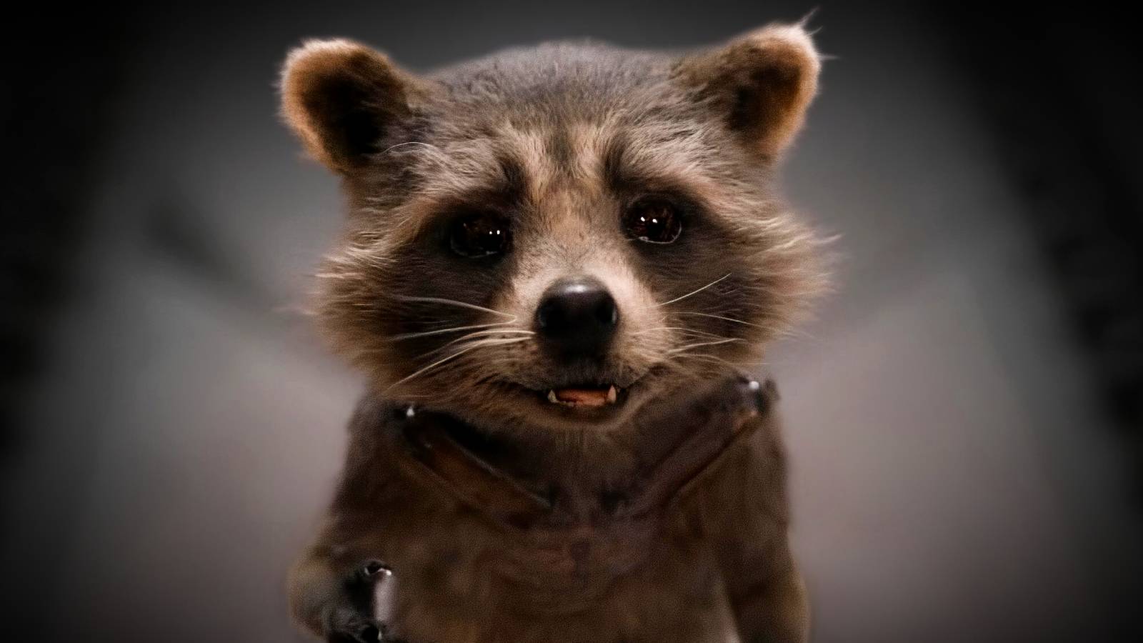 Rocket Raccoon Special Explores Life Before Guardians Of The Galaxy ...