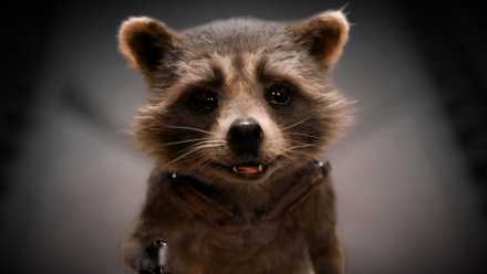 Baby Rocket Raccoon smiles in the MCU's Guardians of the Galaxy Vol 3