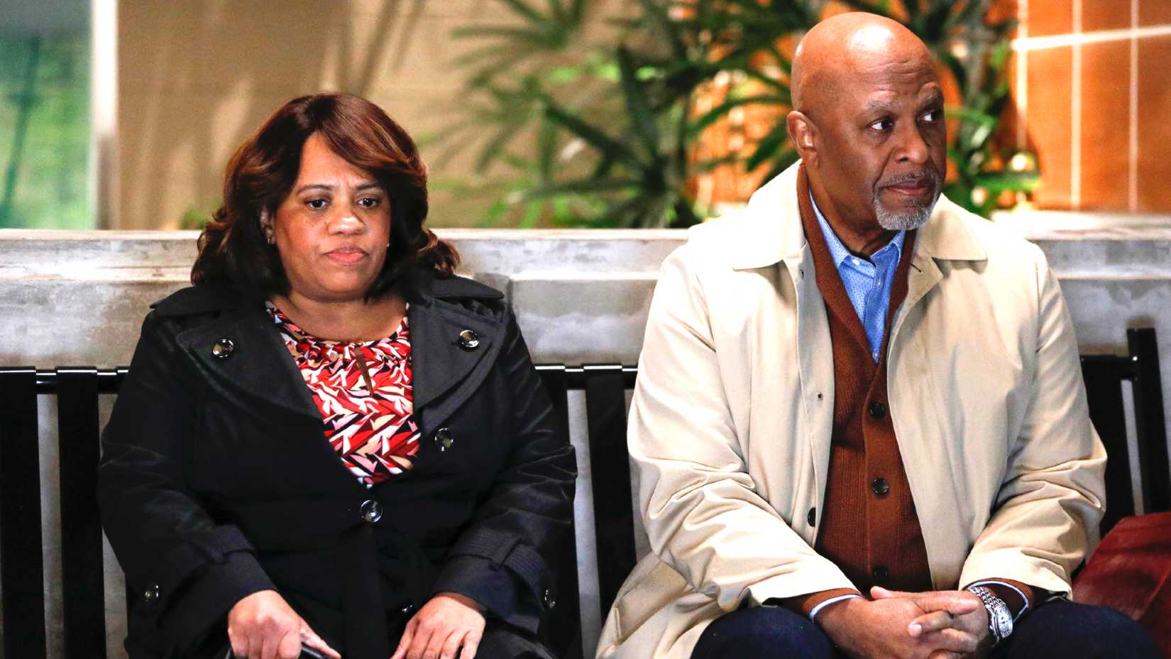 Bailey and Webber in Grey's Anatomy