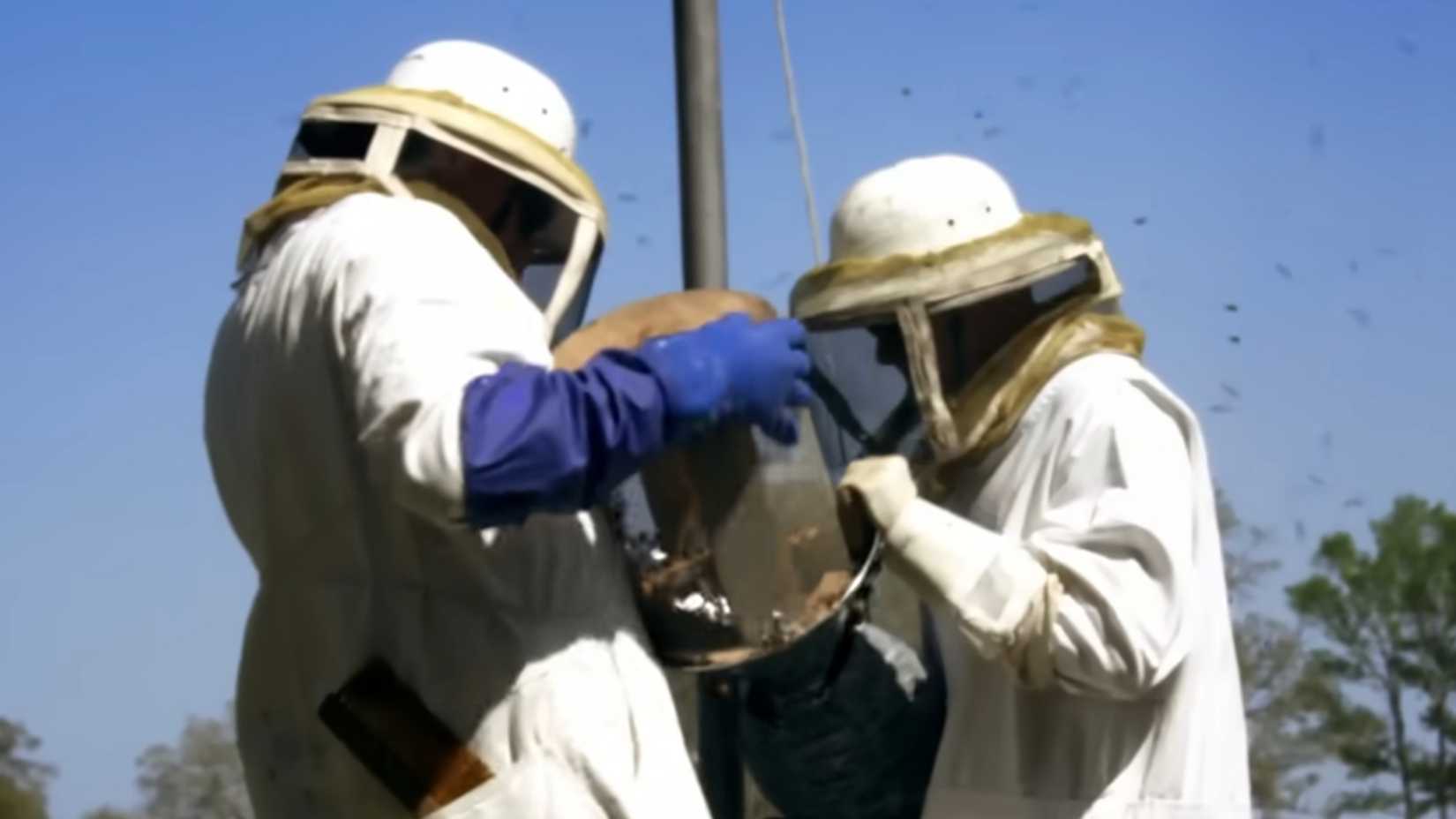 Beekeepers loading up the beehive tetherball in Jackass 3