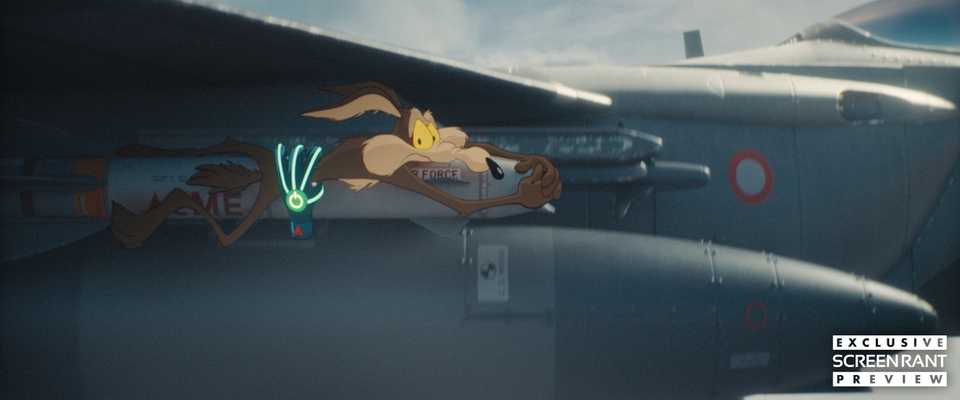 Coyote Vs Acme Rotten Tomatoes Score Revealed After WB s Infamous coyote-vs-acme-rotten-tomatoes-score-revealed-after-wb-s-infamous