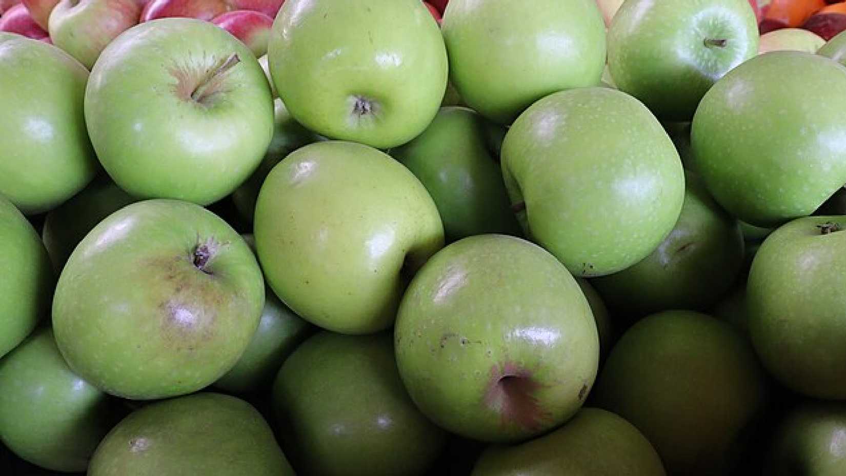 creative commons image of apples