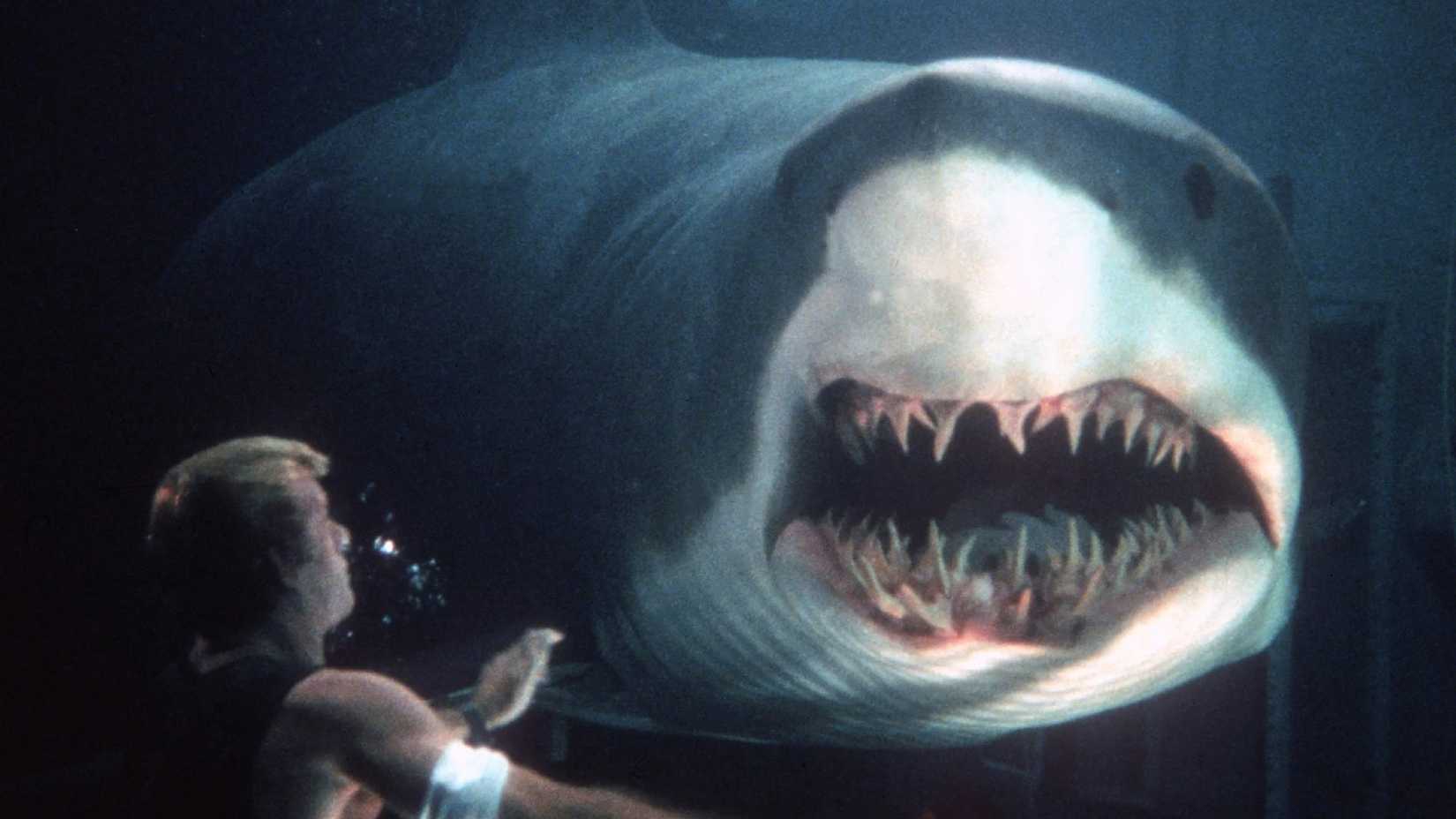 Shark attacks in deep blue sea