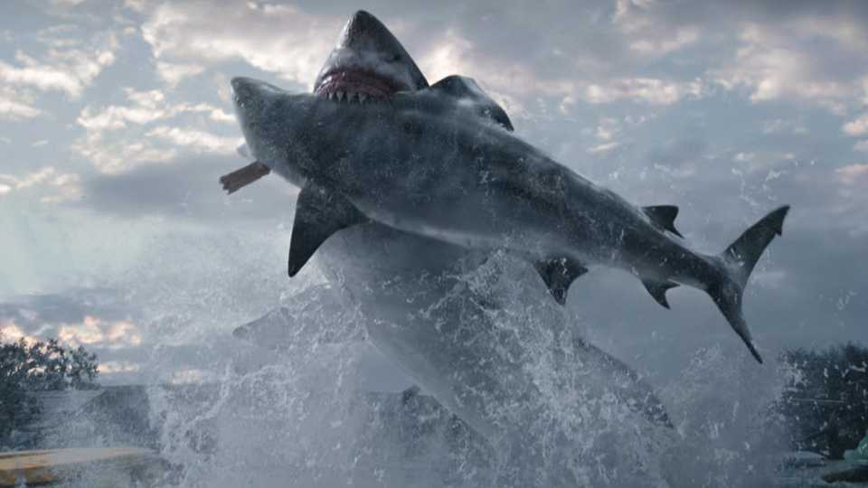Great white shark eating bull shark in Thrash