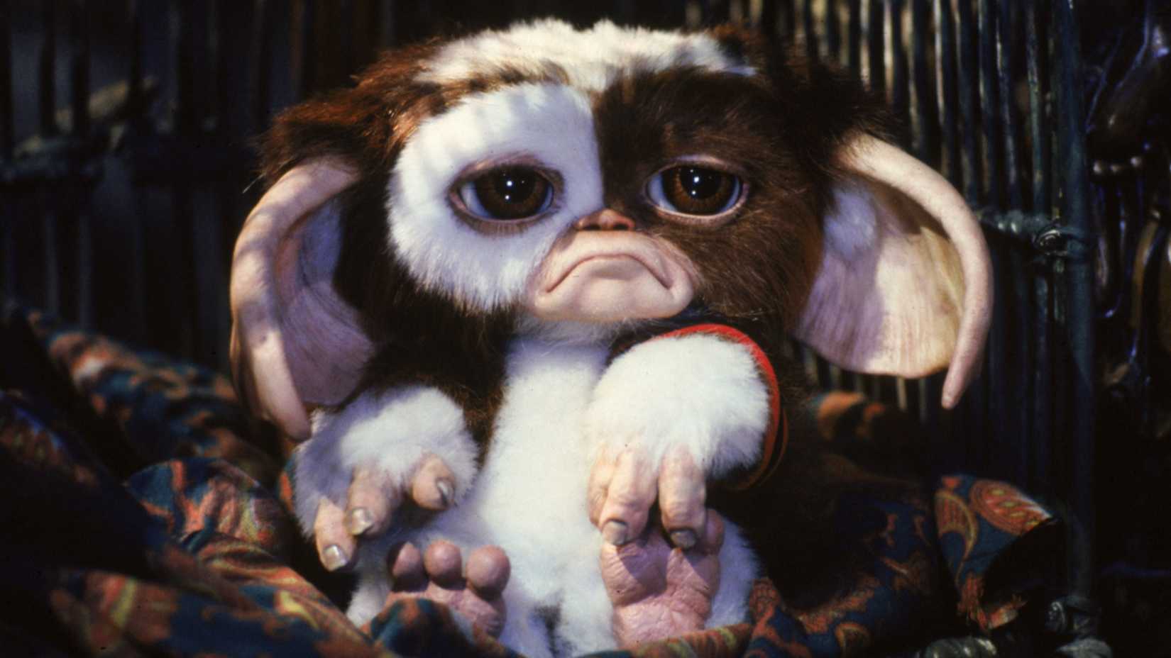 Gizmo frowns in Gremlins 2