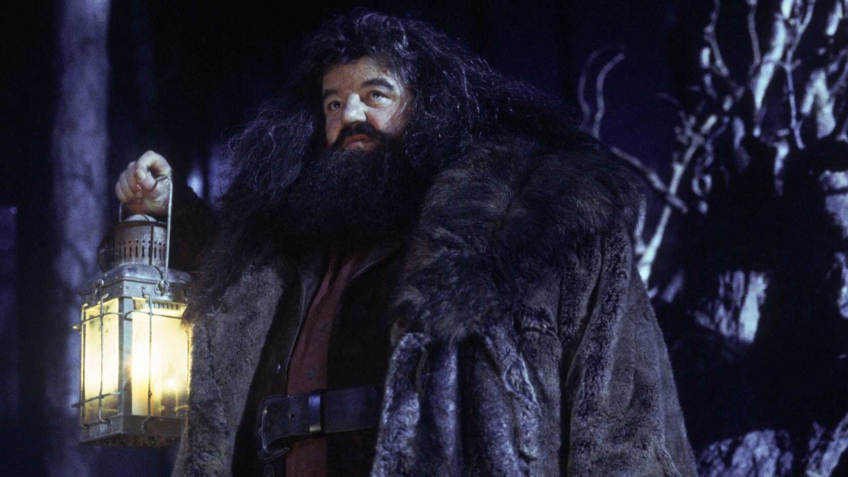 Robbie Coltrane as Rubeus Hagrid in Harry Potter and the Sorcerer's Stone (2001)