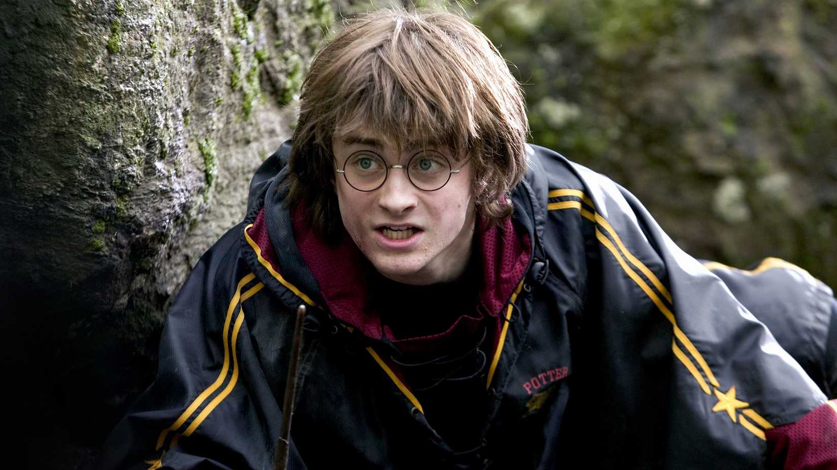 Harry Potter se escondendo em Harry Potter e o Cálice de Fogo
