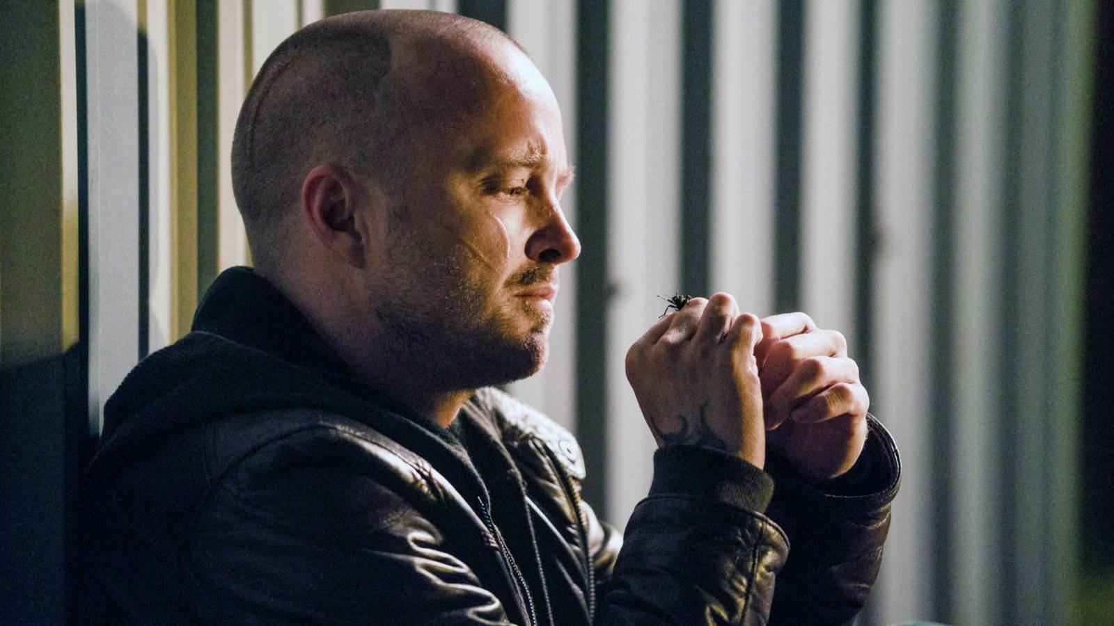 Forget Breaking Bad's Jesse Pinkman, Aaron Paul Needs To Reprise ...