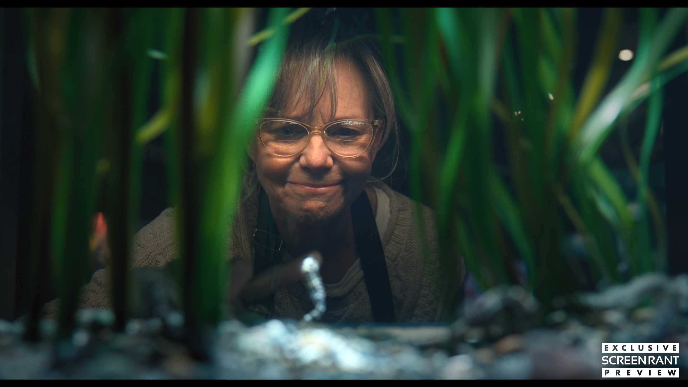 remarkably bright creatures 1