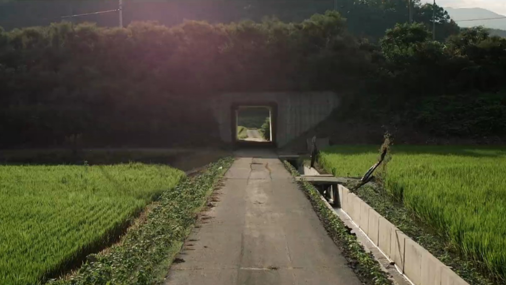 squid game villain mystery thriller k drama the scarecrow crime scene daylight