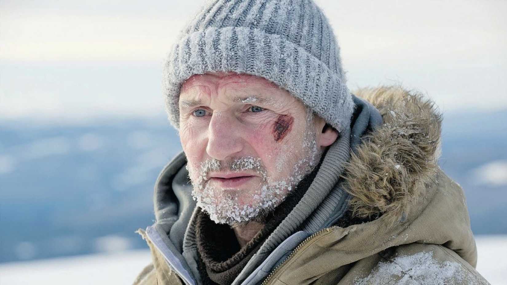 Liam Neeson looks on in The Grey