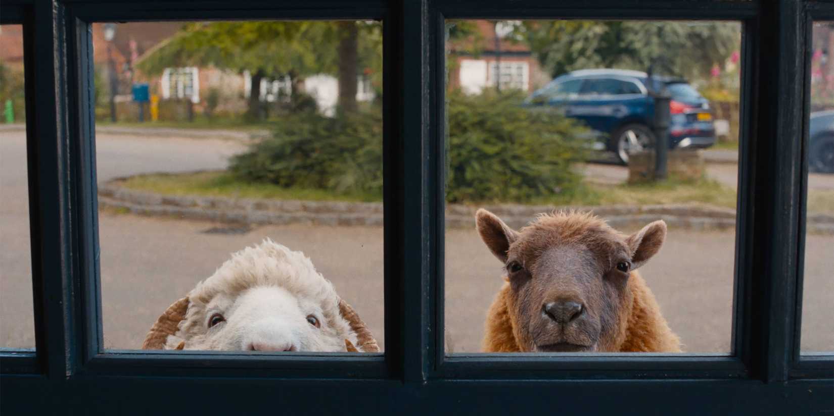 Two sheep peer into a house window in The Sheep Detectives 