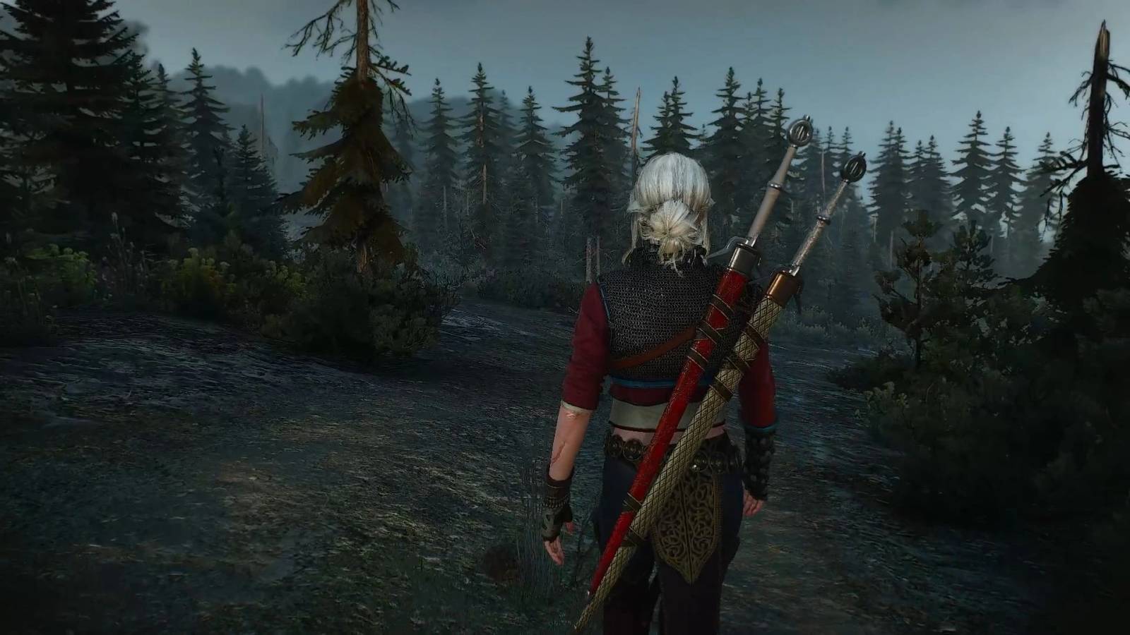 The Witcher 3: Dawn Over Kovir Perfectly Sets Up The Witcher 4