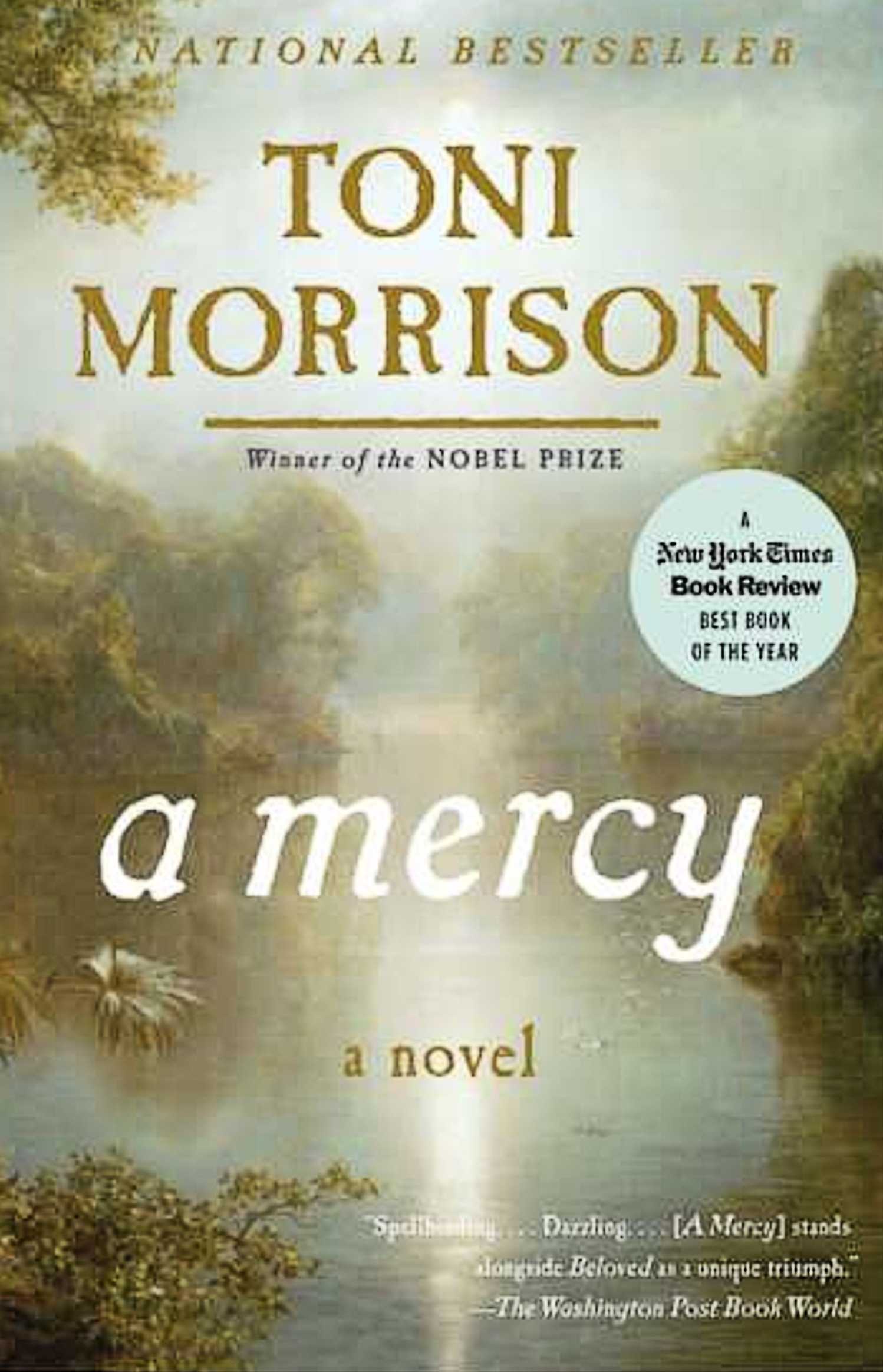 A Mercy book cover, a pond in the woods