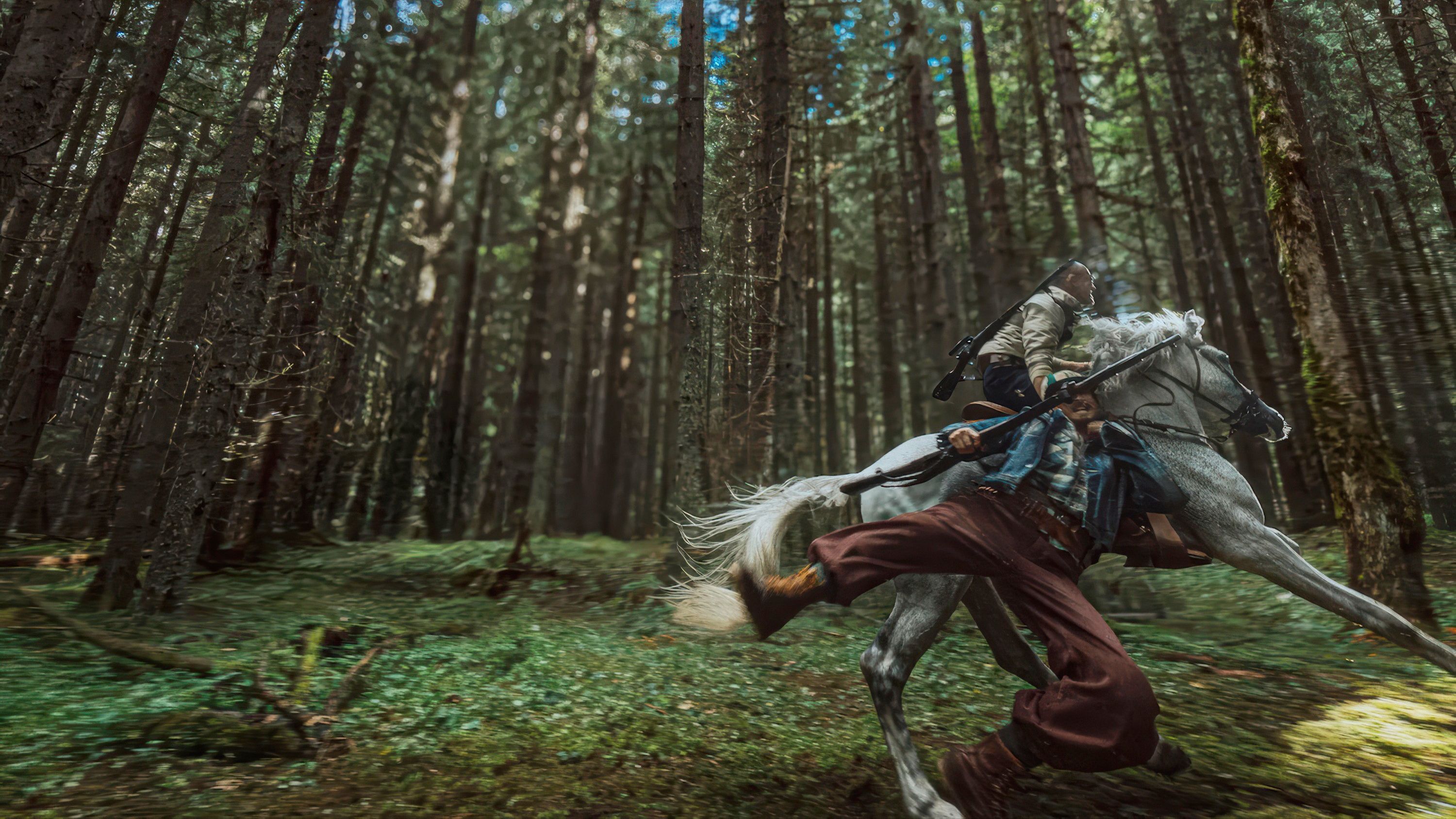 A person on horseback dragging another through the woods in Hope