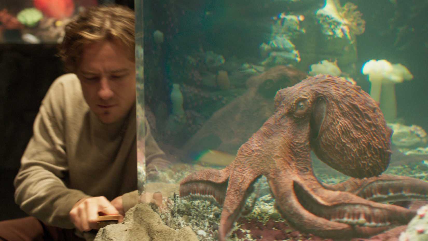 1 Major Remarkably Bright Creatures Change Fixes A Book Criticism