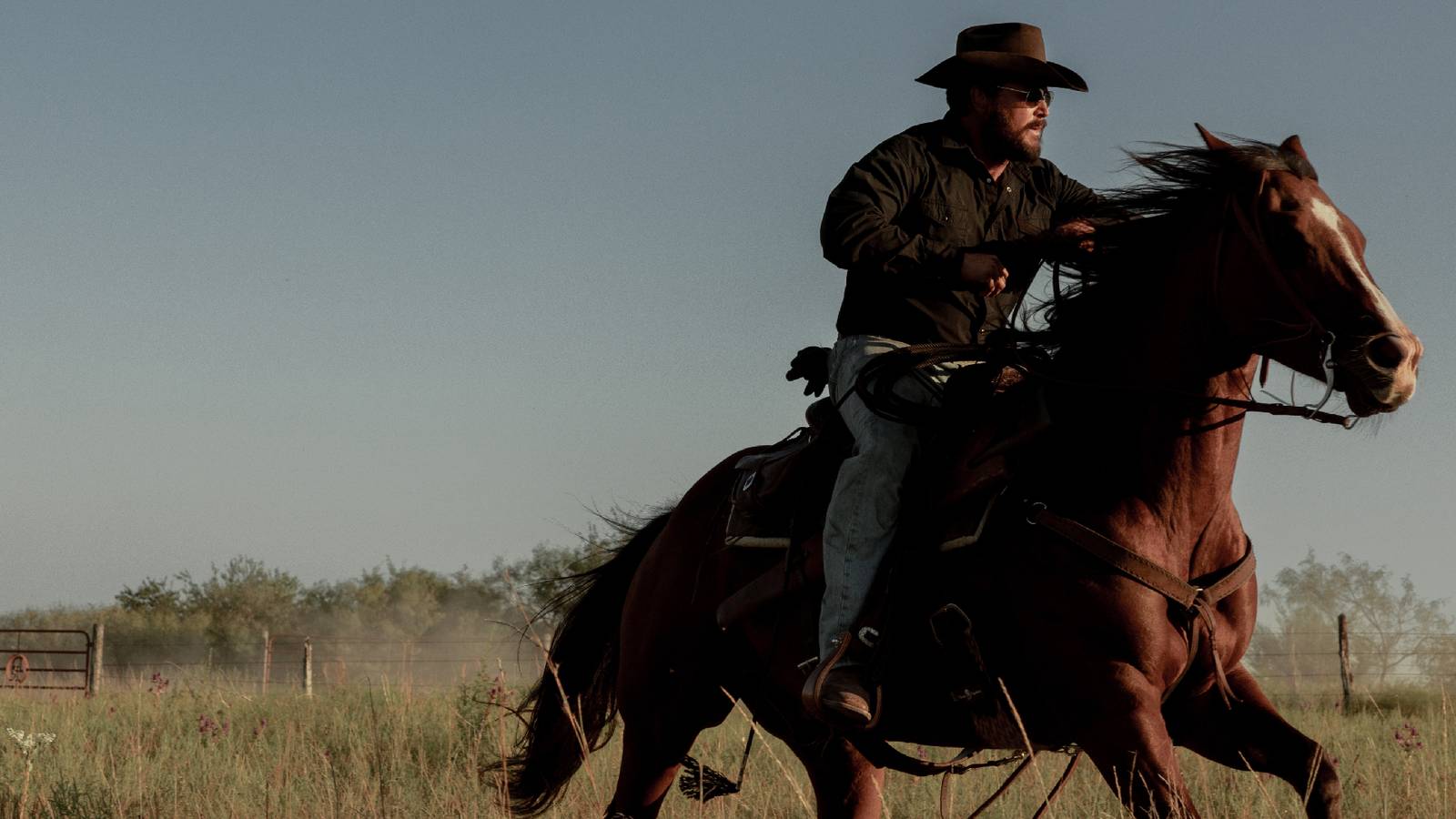 Dutton Ranch's New Cowboy Has Fully Chosen A Side After Rip's ...