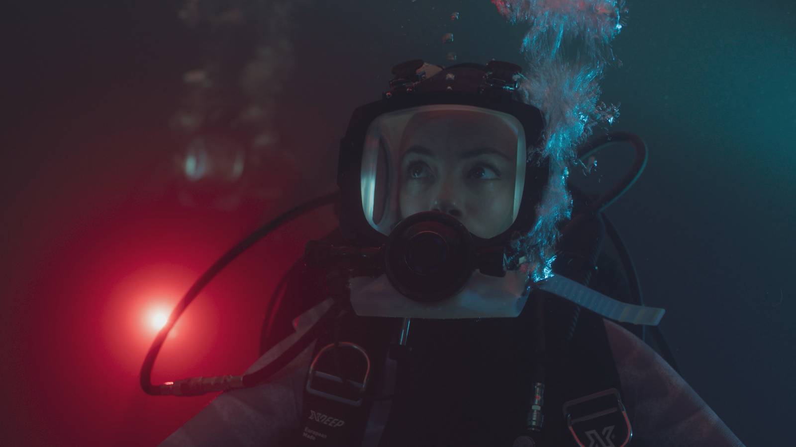Netflix's Record-Breaking Shark Horror Movie Gets Massive Sequel Update