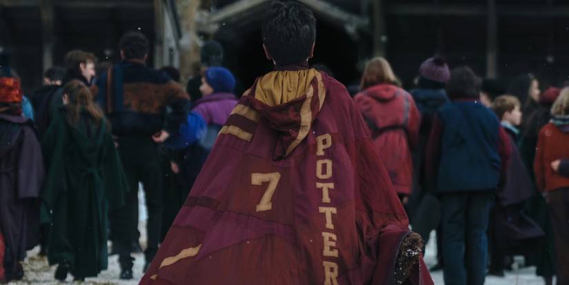 Dominic McLaughlin as Harry Potter