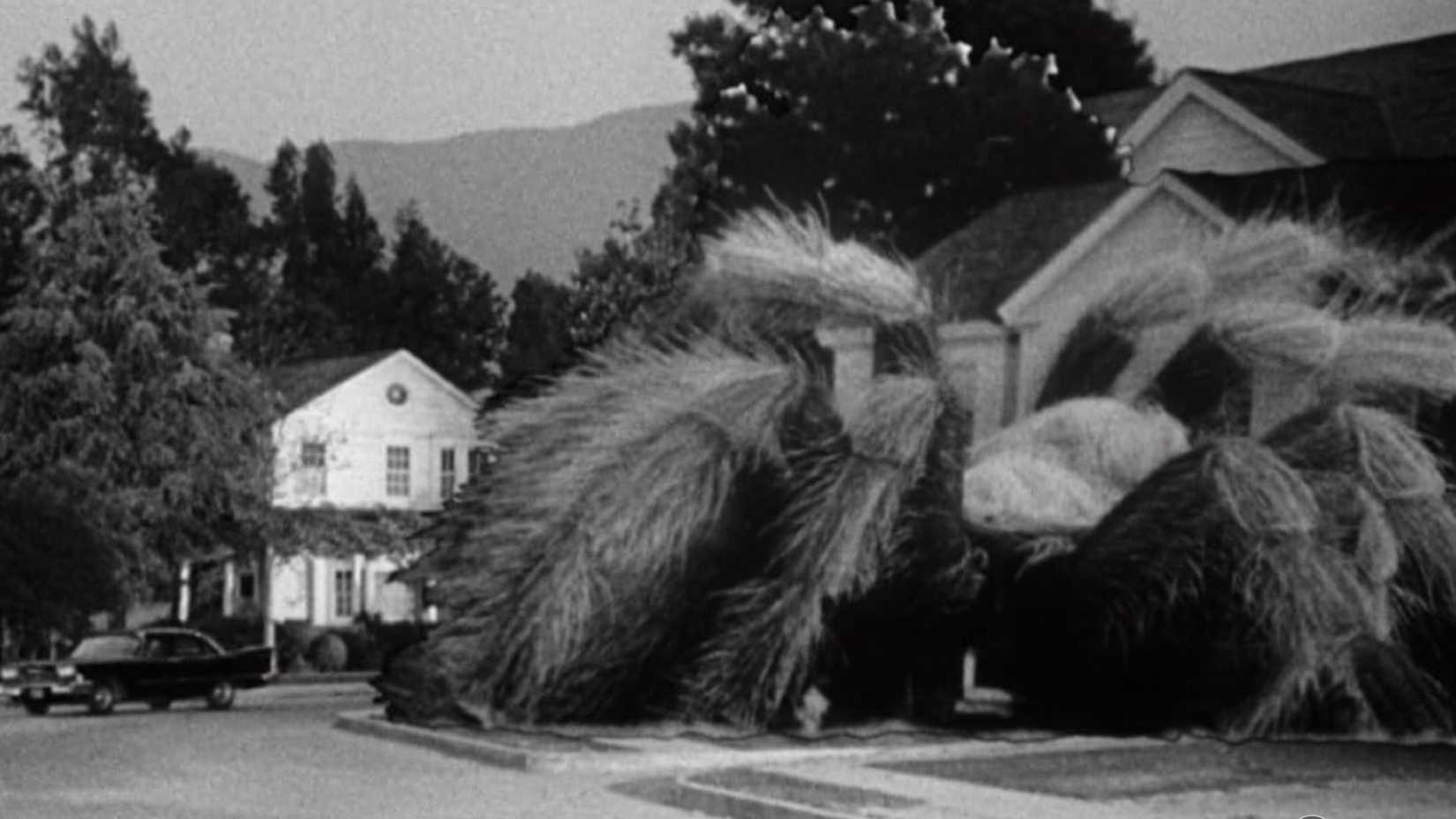 The giant spider attacks a house in Earth vs the Spider