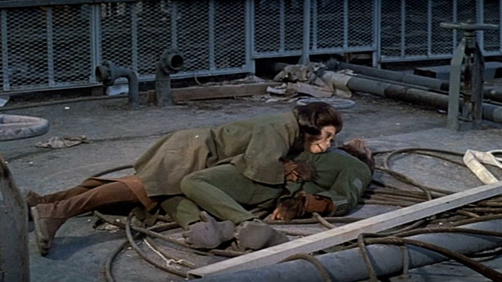 Escape from the Planet of the Apes