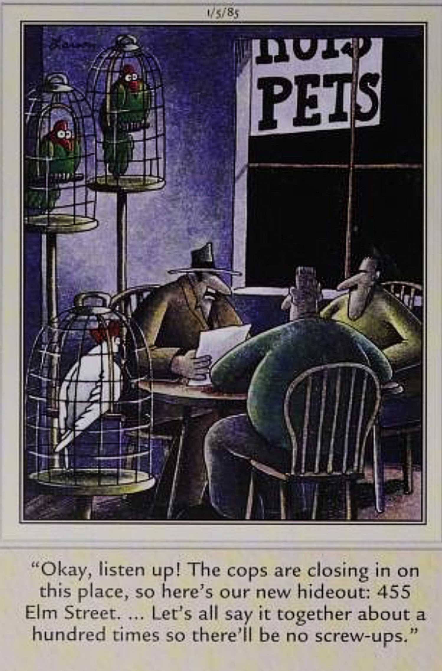 Far Side, January 5, 1985, mobsters say their hideout address in front of a room full of parrots